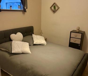 La Cote-Saint-Andre Apartment | Le petit cocon côtois