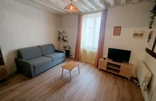 Bourgogne Apartment | Le Petit Cocon d'Orléans