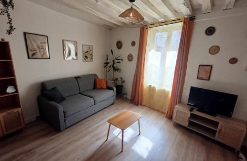 Bourgogne Apartment | Le Petit Cocon d'Orléans