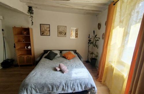 Bourgogne Apartment | Le Petit Cocon d'Orléans