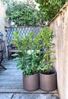 Chateau-Chalon House | Le petit cocon de Chateau Chalon