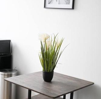 Saint-Charles du Port Apartment | Le Petit Cocon - Docks Vauban