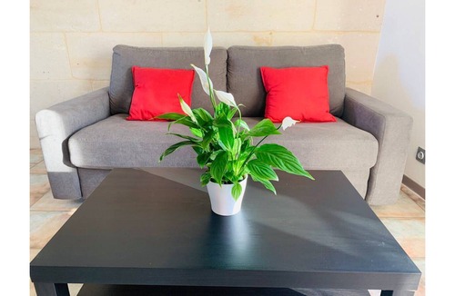 Chauray Apartment | Le Petit Cozy Downtown - WiFI - Parking