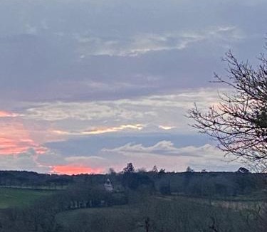 Gans House | Le petit duc