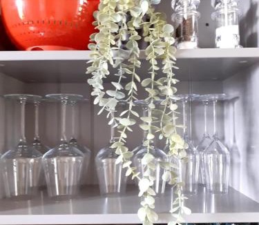 Villefranche-du-Perigord House | Le Petit Figuier