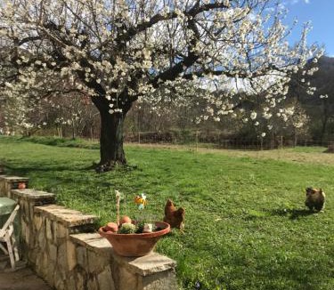 Saint-Etienne-le-Laus Apartment | Le petit gîte