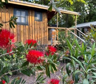 Clermont-l'Herault House | Le petit kck - l'agapanthe