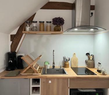 Mayet Apartment | Le Petit Lavoir - Joli studio à Mayet