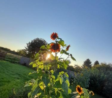 Schleithal Apartment | Le petit libre