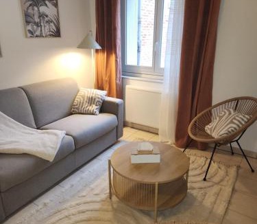 Albi Apartment | Le petit marché de Sainte Cécile- Centre historique Albi