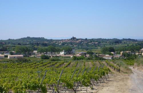 Saint-Pargoire House | Le Petit Mas du Vigné