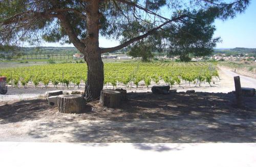 Saint-Pargoire House | Le Petit Mas du Vigné