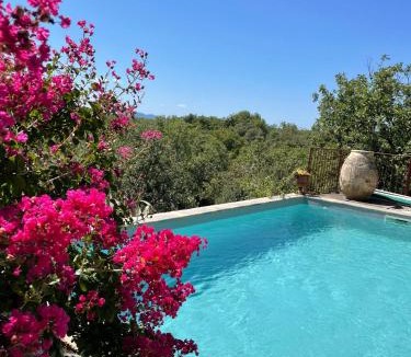 Vogue Bed & Breakfast | Le petit Mas