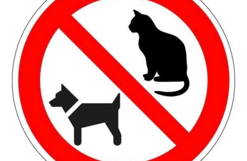 Saint-Hilaire Bed & Breakfast | Le Petit Moulin