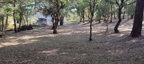 Chamaret Villa | Le Petit Nice