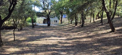 Chamaret Villa | Le Petit Nice