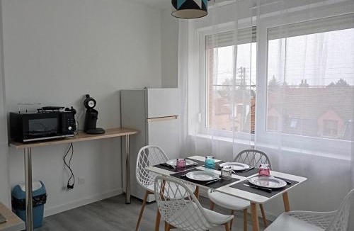 Bethune Apartment | Le petit nid Béthunois