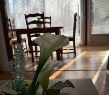 Nargis Other | Le Petit Nid de Nargis