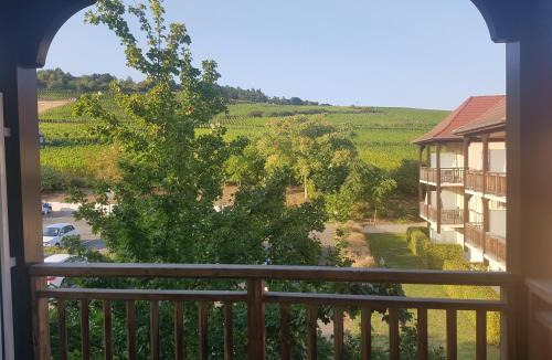 Bergheim Apartment | Le Petit Nid