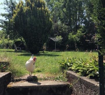 Lesterps House | Le Petit Nid