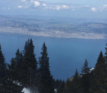 Lugrin House | Le Petit Paradis 74