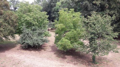 Ruaudin Bed & Breakfast | Le petit plessis