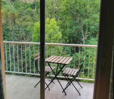 Savignac-les-Ormeaux Apartment | Le petit skieur