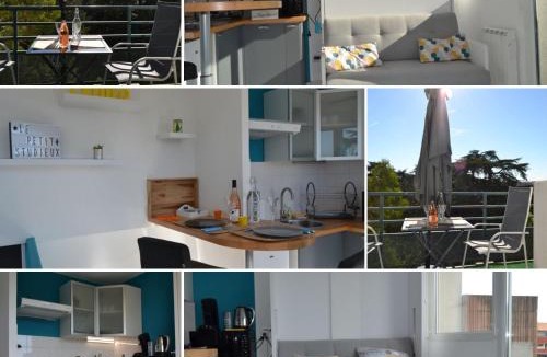 Albi Apartment | Le petit studieux - Parking - Animaux acceptés - Centre ville accessible à pied
