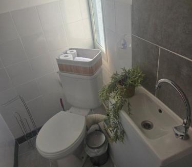 Notre-Dame Apartment | Le petit versaillais