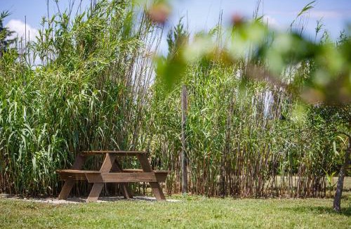 Capestang House | Le Petit Viala