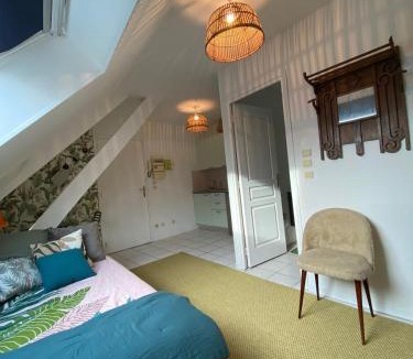 Vierzon Apartment | Le Petit Vierzonnais