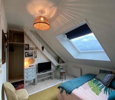 Vierzon Apartment | Le Petit Vierzonnais