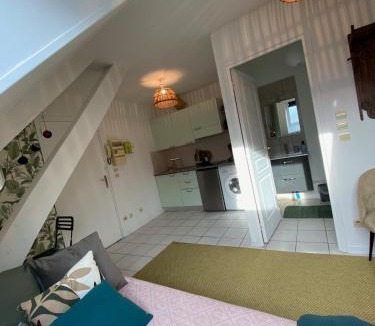 Vierzon Apartment | Le Petit Vierzonnais