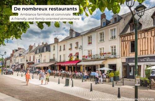 Amboise Apartment | Le Petit Voltaire - Studio au cœur de ville