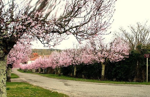 Gueyze House | Le Petite Grange Gite