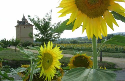 Larrazet House | Le Pigeonnier de Roudet