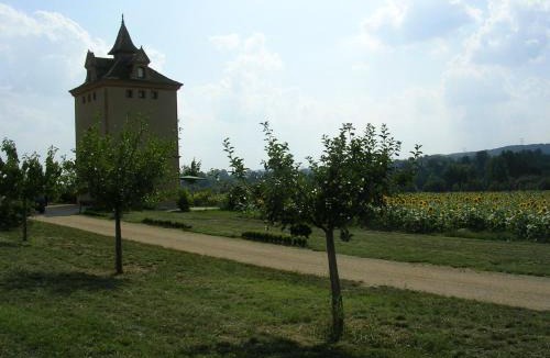 Larrazet House | Le Pigeonnier de Roudet