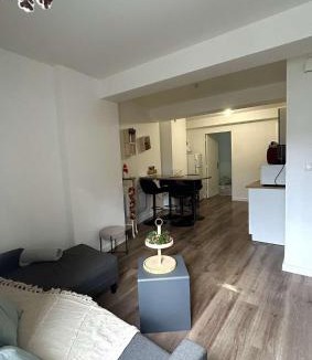 Montbrison Apartment | Le plein centre