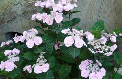 Pineuilh Bed & Breakfast | Le point d'orgue