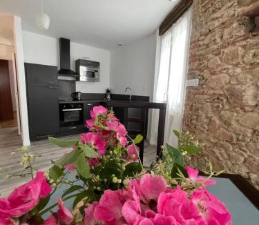 Lavaur Apartment | Le pont Saint Roch Logement lumineux avec garage
