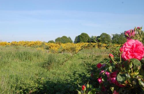 Saint-Etienne-en-Cogles Bed & Breakfast | Le Pont St Michel