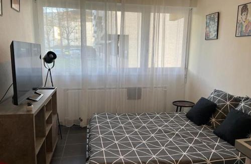 Gaillard Apartment | LE POP ART Studio-Proche tram
