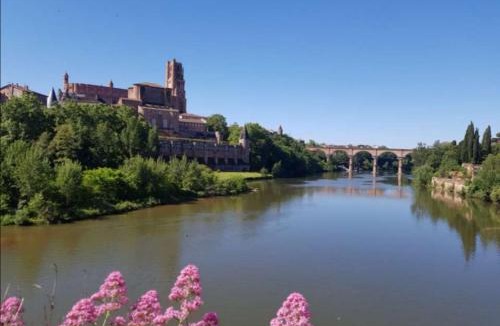 Albi Apartment | LE PORTA 9 N°2