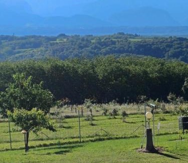Saint-Lattier House | Le Pouyet