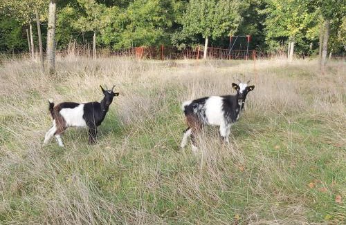 Le Mesnil-sur-Blangy House | Le Pressoir de Cour la Ville