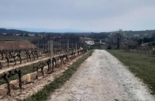 Mercurol House | LE PRESSOIR