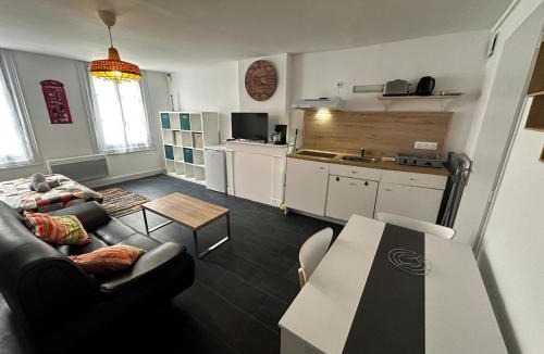 Centre Ville Apartment | Le Printemps des Fleurs - centre ville - wifi