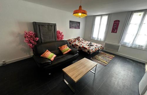 Centre Ville Apartment | Le Printemps des Fleurs - centre ville - wifi