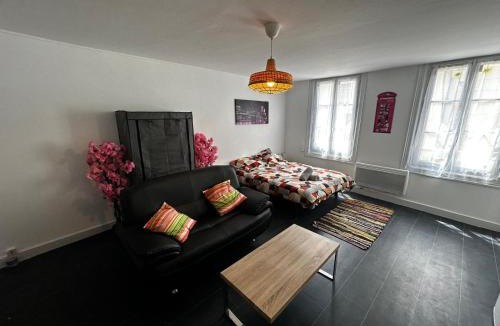 Centre Ville Apartment | Le Printemps des Fleurs - centre ville - wifi