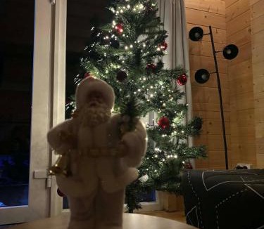 Monnet-la-Ville Ski Chalet | Le Ptit Châlet de Monnet